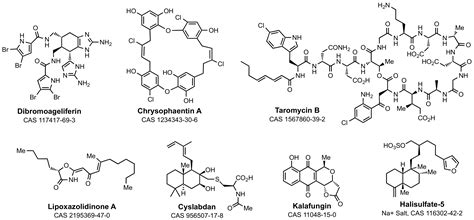 β-Lactams from the Ocean