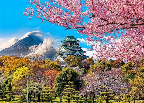 Amazon.com: HUADADA 1000 Piece Puzzles for Adults - Cherry Blossoms in ...