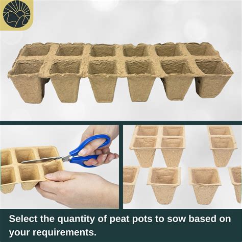 Biodegradable Seedling Starting Tray - Peat Pots | SunVara
