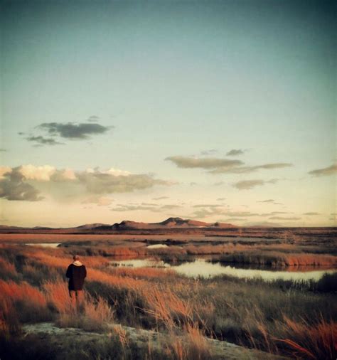 Fox Ridge Park / Irked Angel | Fox Ridge Park