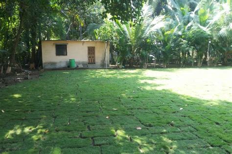 Nisarg Farmhouse - Venue - Palghar City - Weddingwire.in