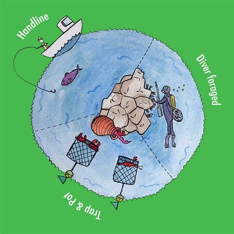 Image result for Catch Fish Methods