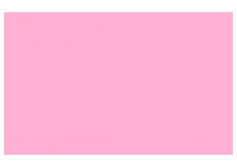 Pink Color Chart Backdrop – Poko baby props