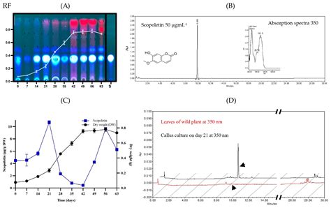 Phytochemical Profiles and Cytotoxic Activity of Bursera fagaroides ...