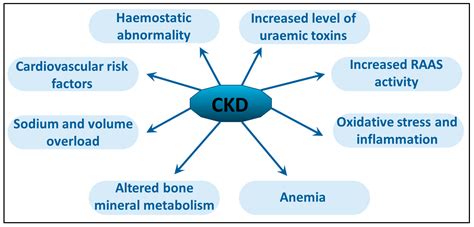 Increased Cardiovascular Mortality in Hemodialysis: The Role of Chronic ...