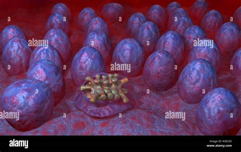 Image result for Alien Eggs Inside Female