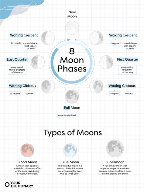 Moon Phases: Names, Types, and Lunar Calendar | YourDictionary