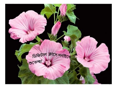 8th Std Science Chapter 5 by Rahul Sir 的图像结果