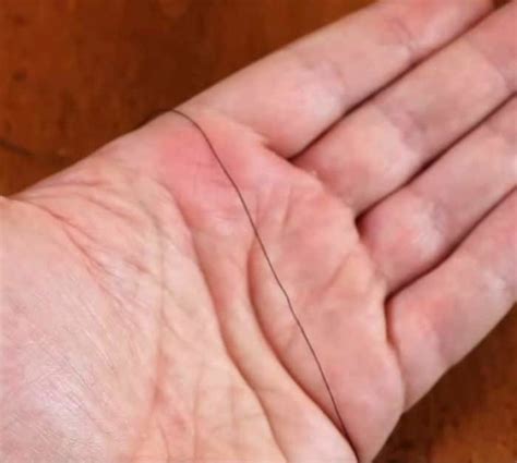Image result for Threading a Needle Tips