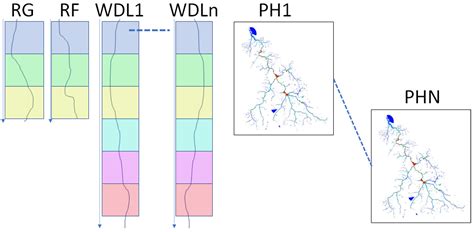 Early Detection of Flash Floods Using Case-Based Reasoning