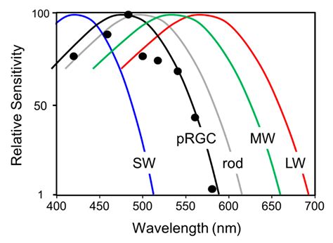Circadian Photoentrainment in Mice and Humans