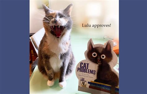 Image result for Cat Problems Book Review
