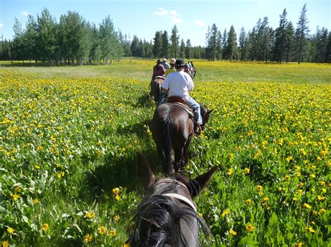 TETON WAGON TRAIN & HORSE ADVENTURE - All You Need to Know BEFORE You ...