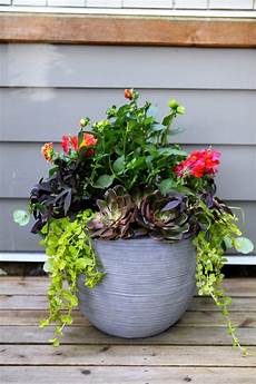 Container Gardening Plants by 3 Steps For Stunning Container Gardening Lowe S Canada Container Gardening Plants