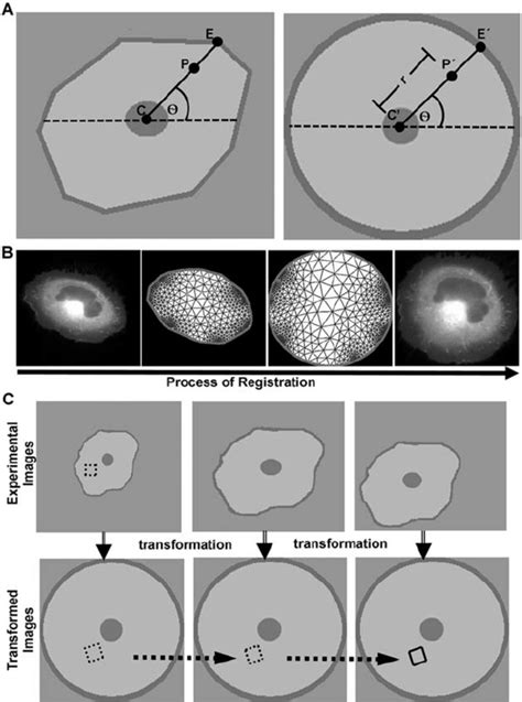 Image result for Centroid Tracking Algorithm
