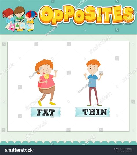 Opposite Words Fat Thin Illustration: เวกเตอร์สต็อก (ปลอดค่าลิขสิทธิ์) 2146895821 | Shutterstock
