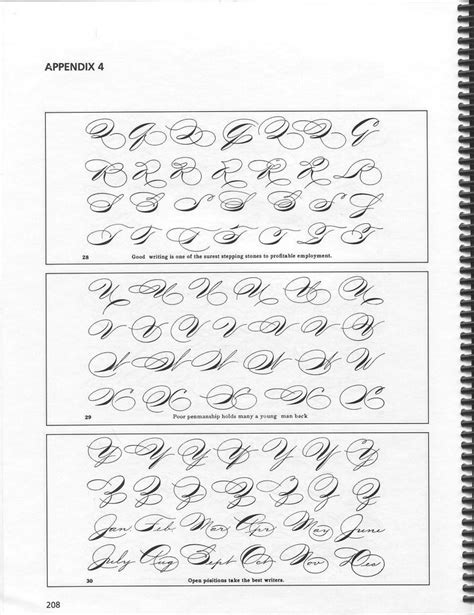 Image result for Spencerian Script Handwriting Style
