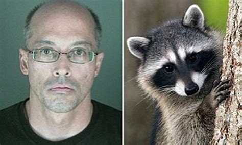 Can A Raccoon Kill A Dog