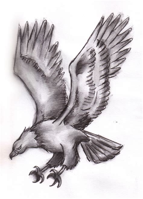 Eagle Soaring Drawing at PaintingValley.com | Explore collection of ...