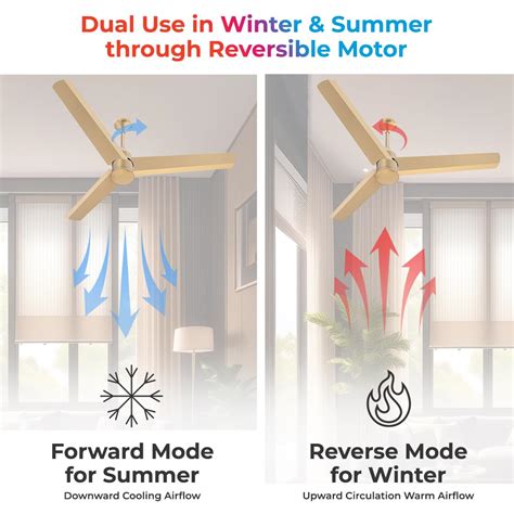 Polycab Silencio Mini 1200mm BLDC Ceiling fan with remote (Birkin Gold ...