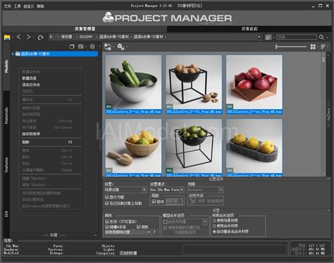 ProjectManager 的图像结果