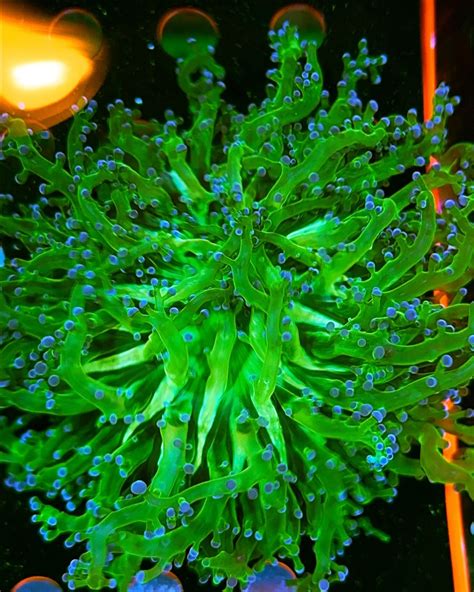 🐟 Beverly's Pet Center 🐠 (@beverlyspetcenter) • Instagram photos and videos