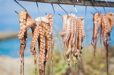 智利市场海鲜食物旅行章鱼高清图片下载-正版图片320407132-摄图网