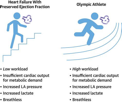 Herbs To Increase Ejection Fraction at Eric Meza blog