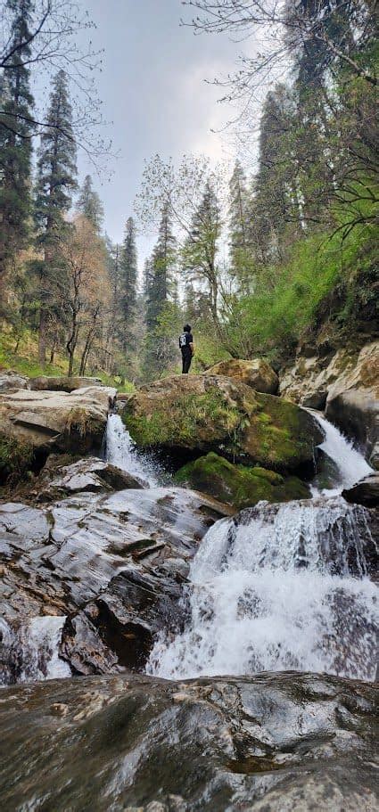 Jibhi Right Now - Live Valley Updates, Alerts & Local Conditions ...