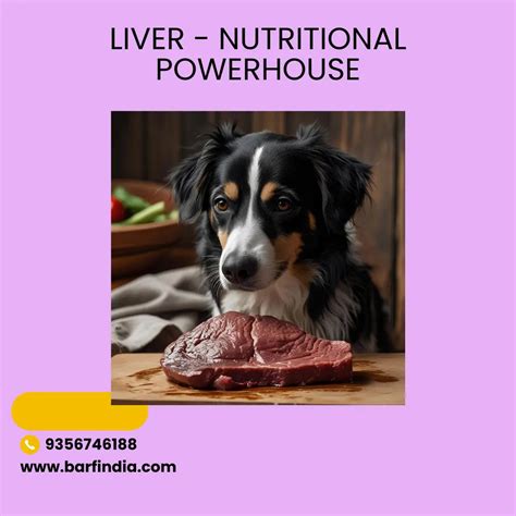 Importance of Organ Meat in a Species Appropriate Diet for dogs.