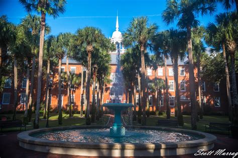 Stetson University - Acceptance Rate, Deadlines & Admission Info