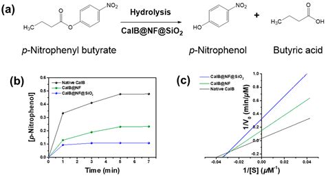 Thermally Stable and Reusable Silica and Nano-Fructosome Encapsulated ...