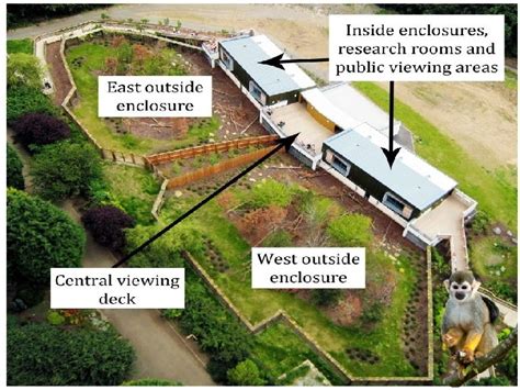 Image result for Animal Behaviour Continuous Sampling
