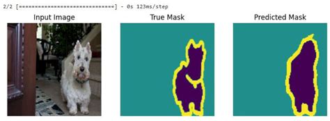 Image Segmentation Using Unet Tensorflow 的图像结果