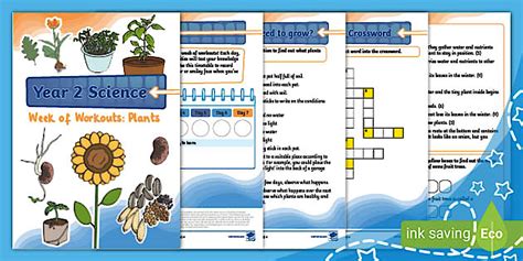 Image result for Science Week Growth