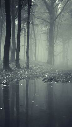 Creepy Wallpaper Iphone by Creepy Forest Wallpaper Free Iphone Wallpapers Creepy Wallpaper Iphone