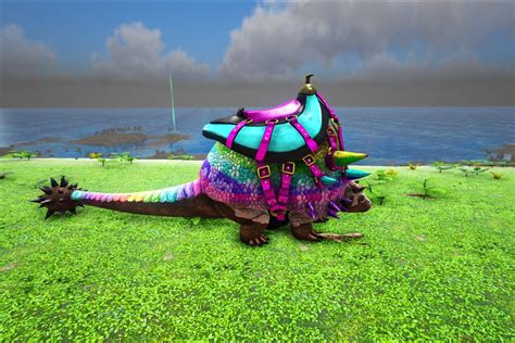 Image result for Roly Poly