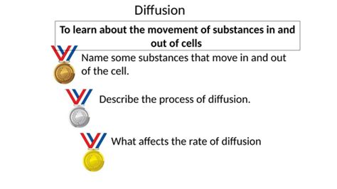 Image result for Diffusion GCSE Science