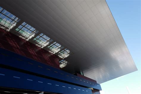 Image result for Labradoodle