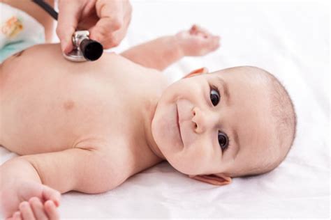 Website Basics Tutorial 的图像结果