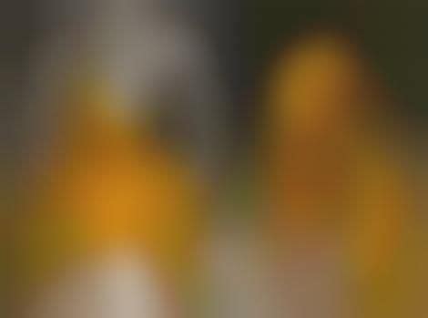 Alien Clothes 的图像结果