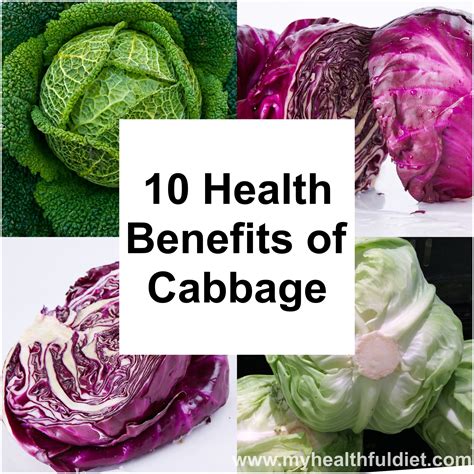 10 Benefits of Cabbage | MyHealthfulDiet.Com