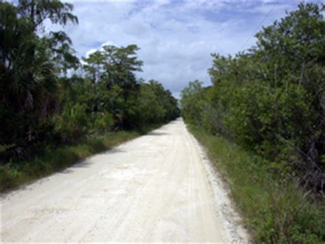 Image result for Conventional Loop Road