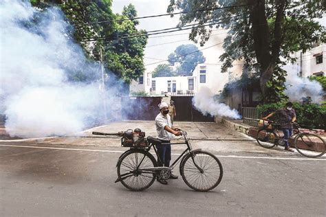 Checking mosquito breeding and fogging: MCD braces up for dengue