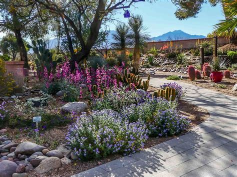 Arid Garden Design 21,616 Arid Garden Stock Photos Free