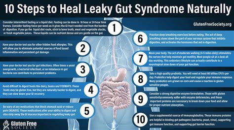 How To Heal Leaky Gut Syndrome - Gluten Free Society