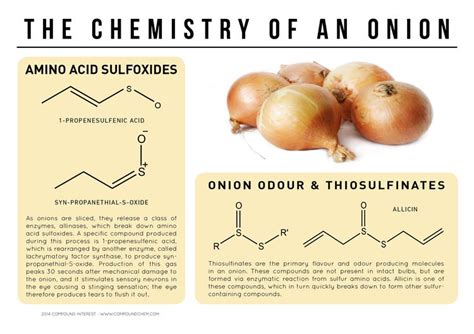 Image result for Compound Food Examples