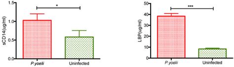Enhanced Mouse Susceptibility to Endotoxin Shock after Plasmodium ...