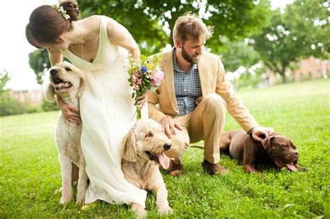 Wedding Bride Dogs 的图像结果
