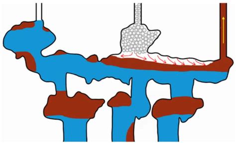 Analysis of the Influencing Factors on the Extraction of Residual Oil ...